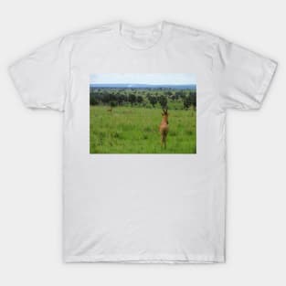 Ugandan Safari T-Shirt